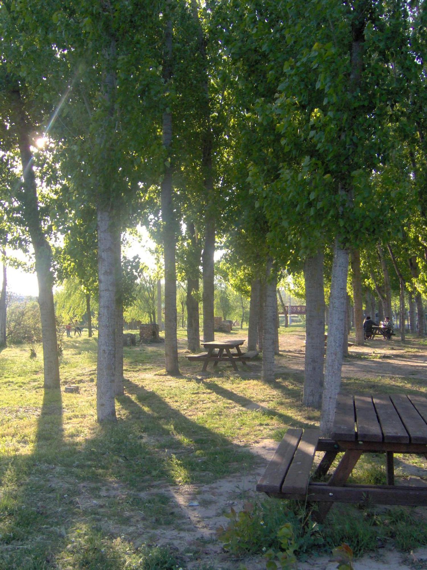 Willa Rural House Tinao De La Petra Fuentiduena De Tajominutes From Madrid Zewnętrze zdjęcie